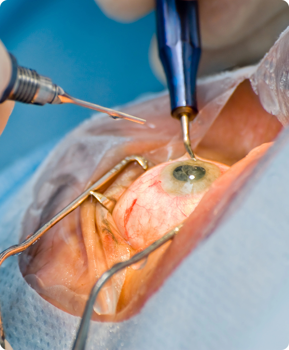 about-alachua-fl-img