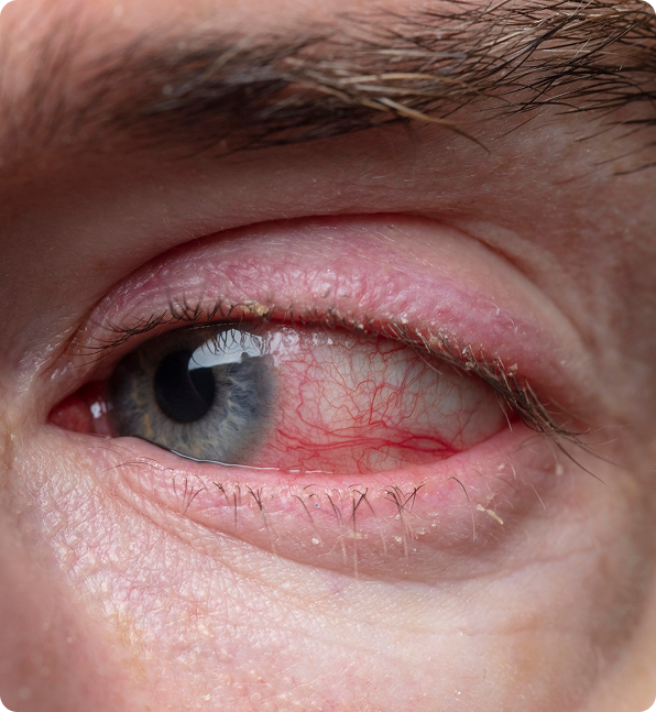 about-alachua-fl-img