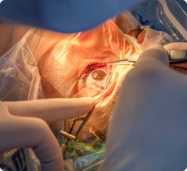 about-alachua-fl-img