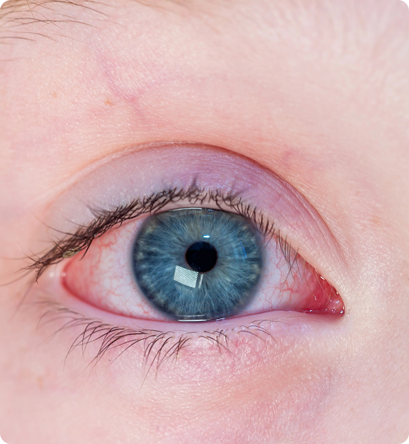 about-alachua-fl-img