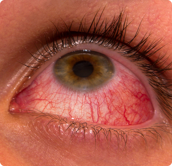 about-alachua-fl-img