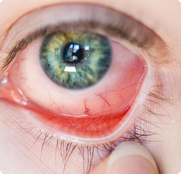 about-alachua-fl-img