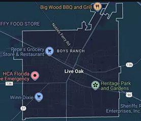 live-oak-fl-img